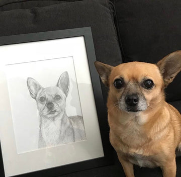 Pencil drawing: 9x12" Single Subject